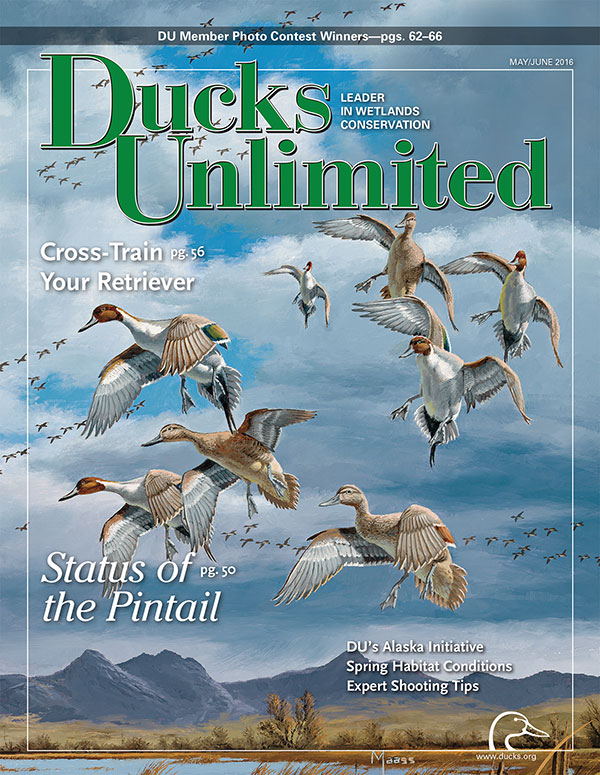 North Carolina Ducks Unlimited » NCDU member contributes to DU magazine