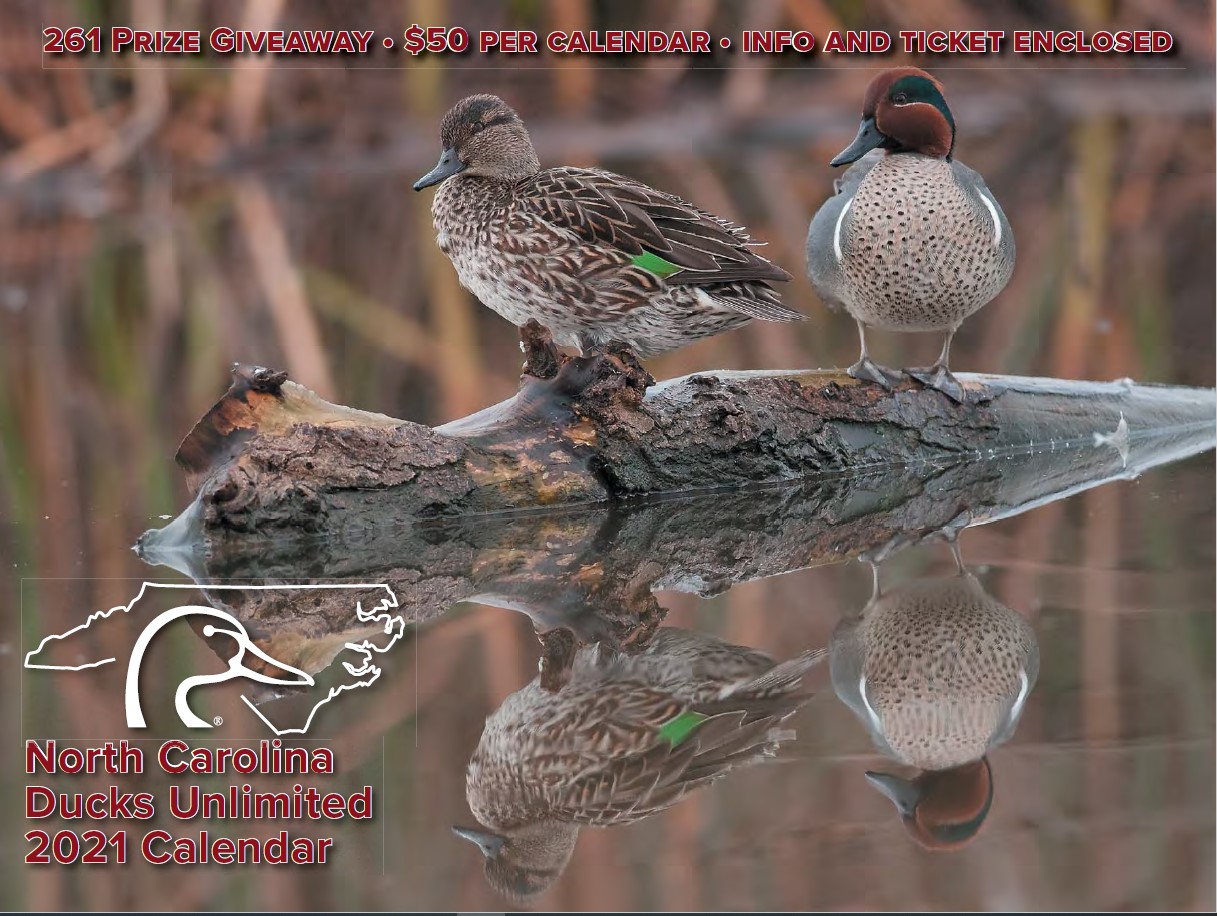 Wisconsin Ducks Unlimited Calendar Customize and Print